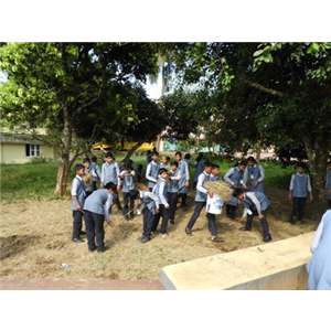 Cleaning Campaign -2018-19